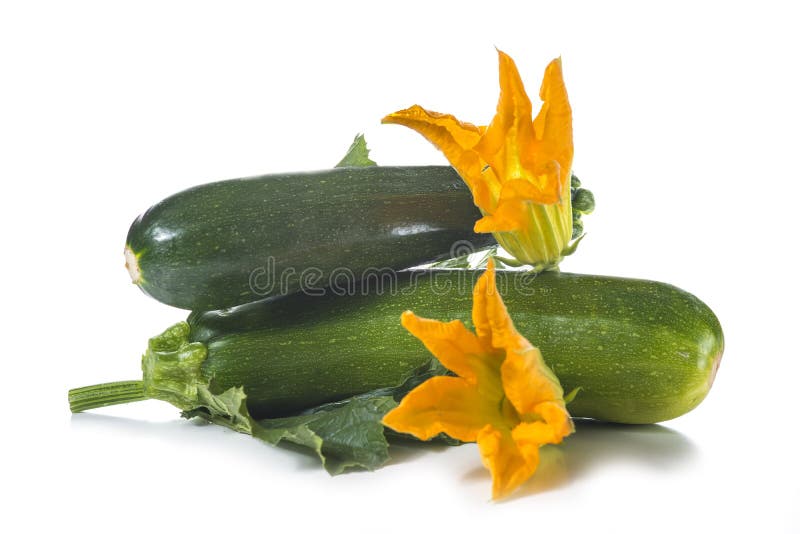 Zucchini with Leaves and Flowers Stock Photo Image of vegan, flower