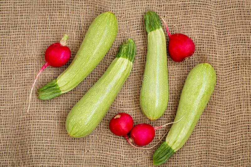 Cut Zucchini Radishes Sausage Vegetables Board Stock Photo Image of