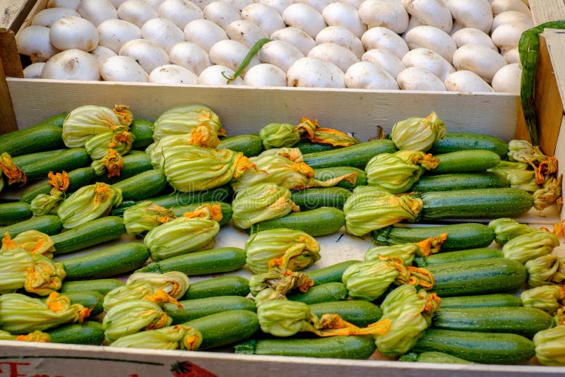 Zucchinis με τα λουλούδια σε έναν δίσκο στοκ εικόνες Zucchinis με τα λουλούδια σε έναν δίσκο στοκ εικόνες