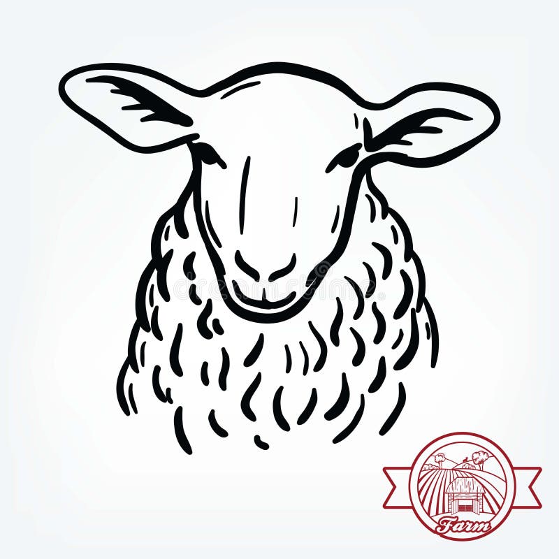 Breeding cattle. head of a sheep. vector sketch on white background. Breeding cattle. head of a sheep. vector sketch on white background.