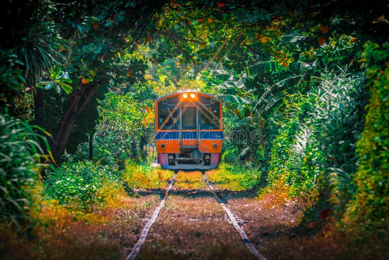 Zug durch den Baumtunnel , Thailändische Eisenbahn Wongwain yai bis Mahachai Line in Bangkok, Thailand stockfoto Zug durch den Baumtunnel , Thailändische Eisenbahn Wongwain yai bis Mahachai Line in Bangkok, Thailand stockfoto
