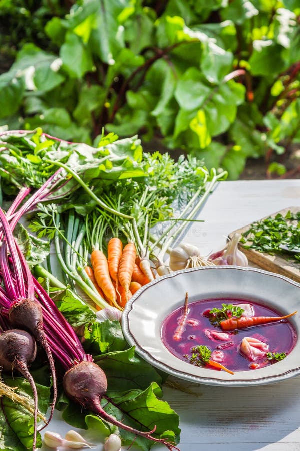 Zuppa di barbabietola con gli ortaggi freschi sul campo immagini stock libere da diritti Zuppa di barbabietola con gli ortaggi freschi sul campo immagini stock libere da diritti
