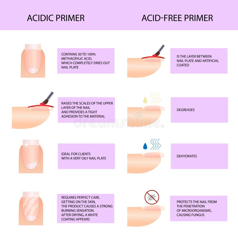 Acidic and acid-free primer. Professional manicure guide, Vector, infographics. Acidic and acid-free primer. Professional manicure guide, Vector, infographics