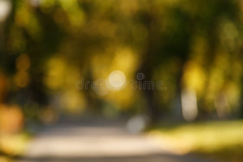 Zusammenfassung unscharfer Naturhintergrund B?ume des Waldes, sonniger Tag, Sonnengreller glanz, bokeh Defocused Hintergrund f?r stockbild Zusammenfassung unscharfer Naturhintergrund B?ume des Waldes, sonniger Tag, Sonnengreller glanz, bokeh Defocused Hintergrund f?r stockbild