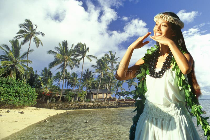 Zusammengesetztes Bild des hawaiischen gebürtigen Tänzers und der Küstenlinie mit Palmen und der Hütte in Hawaii lizenzfreie stockfotografie Zusammengesetztes Bild des hawaiischen gebürtigen Tänzers und der Küstenlinie mit Palmen und der Hütte in Hawaii lizenzfreie stockfotografie