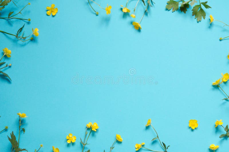 Zusammensetzung von Wildflowers auf blauem Hintergrund Beschneidungspfad eingeschlossen stockbilder Zusammensetzung von Wildflowers auf blauem Hintergrund Beschneidungspfad eingeschlossen stockbilder