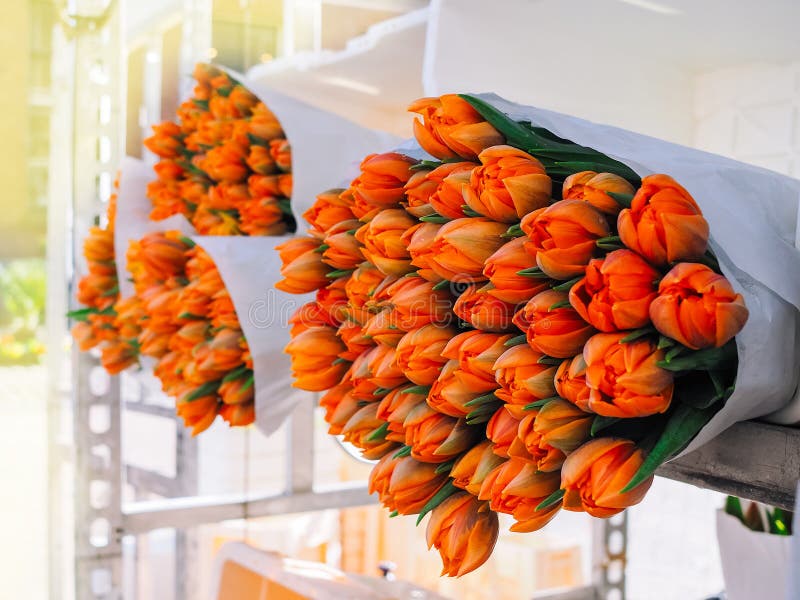 Zusammenstellung Von Blumenstraussen Von Bunten Tulpen In Einem Blumenladen Stockfoto Bild Von Zusammenstellung Blumenstraussen