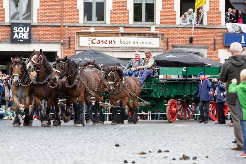 Zware Paardenparade Lennik stock foto's Zware Paardenparade Lennik stock foto's