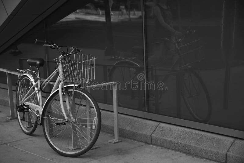 Zwart-witte Fiets die tegen een Traliewerk leunen stock foto's Zwart-witte Fiets die tegen een Traliewerk leunen stock foto's