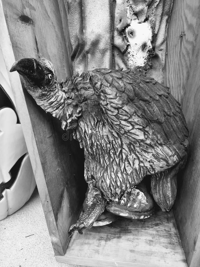 Zwart-witte fotogierige vogelstand royalty-vrije stock fotografie