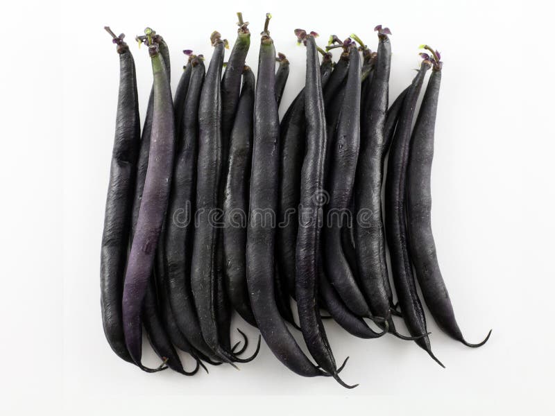 Zwarte bonen royalty-vrije stock afbeeldingen