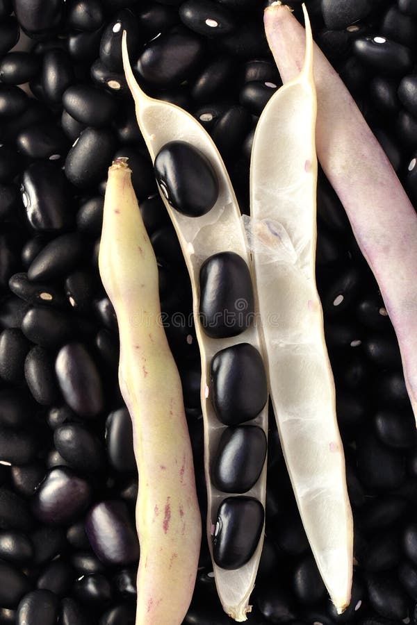 Zwarte bonen royalty-vrije stock fotografie