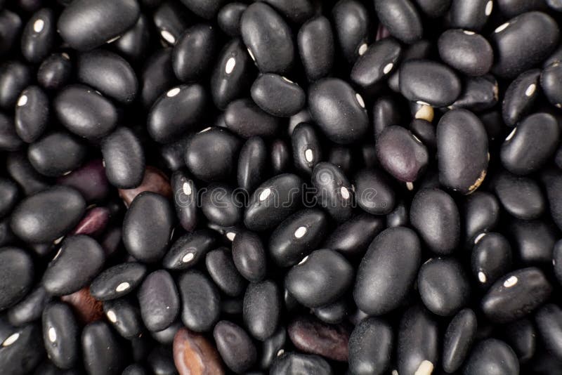 Zwarte bonen stock fotografie