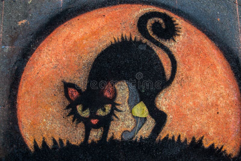 Zwarte kat royalty-vrije stock foto Zwarte kat royalty-vrije stock foto
