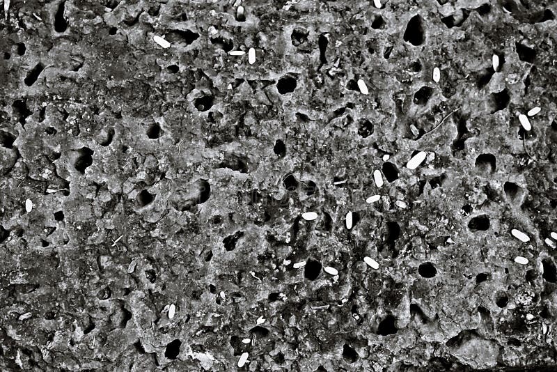 Zwarte poreuze textuur stock foto