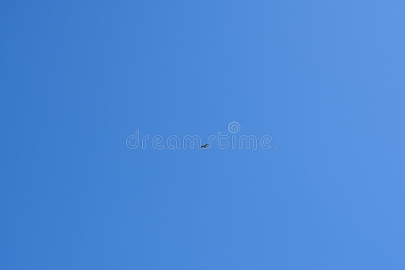 Zwarte Vogel die hoog vliegen royalty-vrije stock fotografie Zwarte Vogel die hoog vliegen royalty-vrije stock fotografie