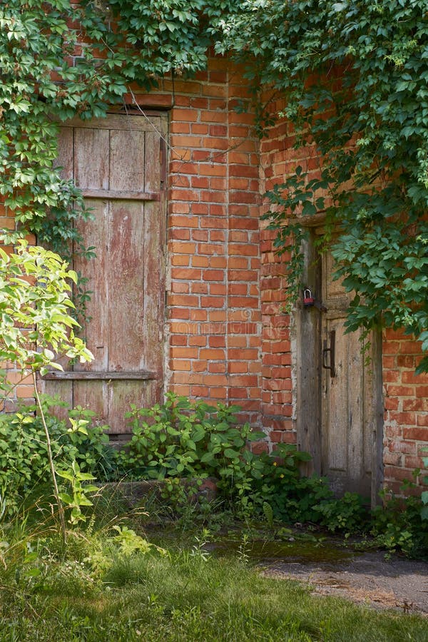 Zwei alte Türen in einer Ziegelmauer. verlassene Gebäudewände mit Efeu