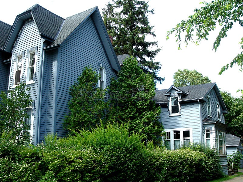 Zwei blaue Häuser und Vegetation