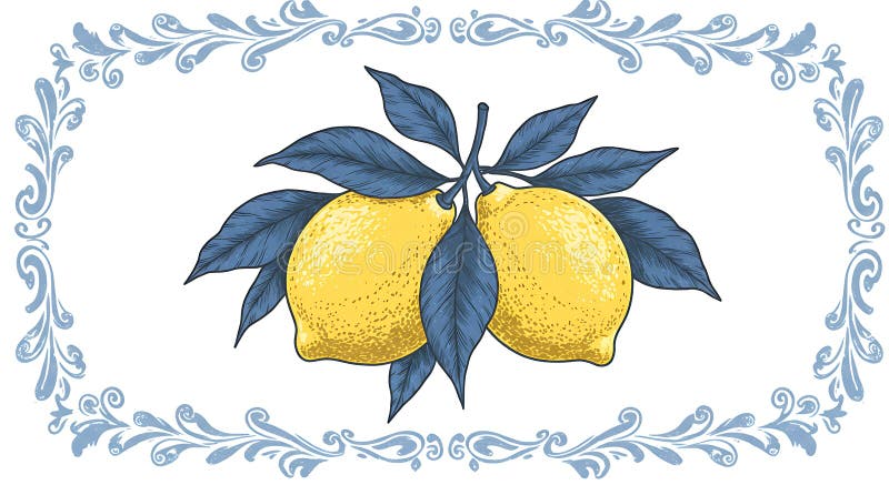 Zwei hellgelbe Zitronen Zitrus Zitronenlimonen hängen von einem Zweig mit mehreren Verzierungen lizenzfreie abbildung