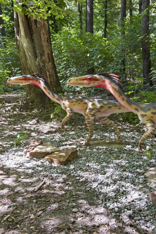 Zwei kleine Dinosauriere stockbild. Bild von ära, ausgestorben - 25532479