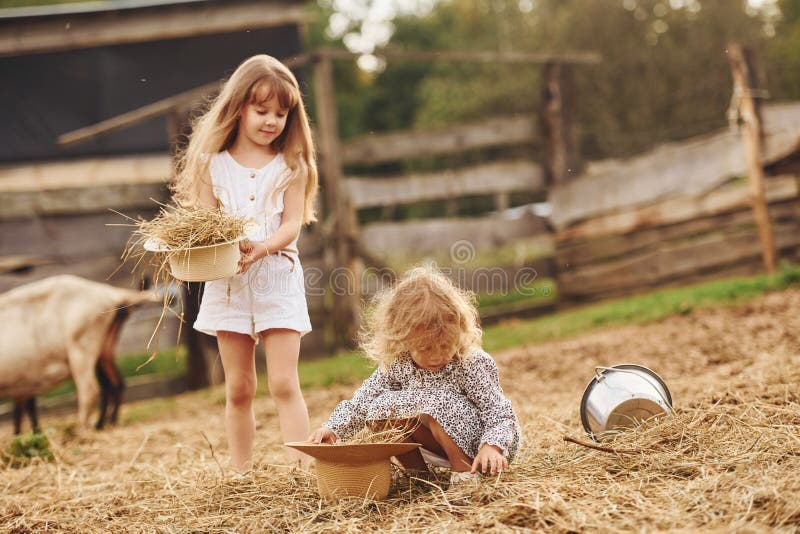 Zwei kleine Mädchen zusammen auf dem Bauernhof im Sommer, am Wochenende mit Ziegen stockbilder