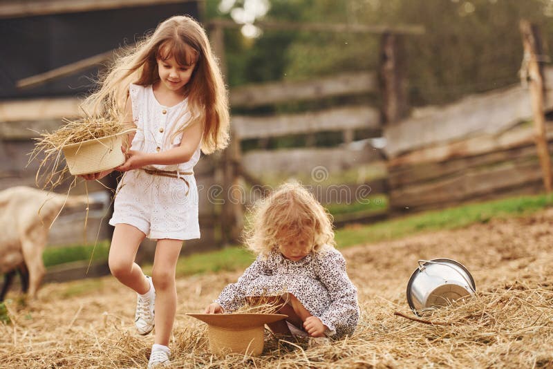 Zwei kleine Mädchen zusammen auf dem Bauernhof im Sommer, am Wochenende mit Ziegen lizenzfreie stockfotografie