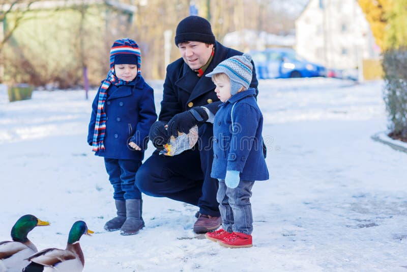 Zwei kleine nette lustige Doppeljungen und ihre Fütterungsenten des Vatis lizenzfreie stockfotos Zwei kleine nette lustige Doppeljungen und ihre Fütterungsenten des Vatis lizenzfreie stockfotos