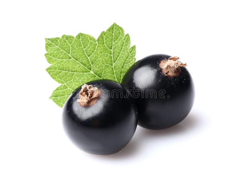 Zwei Korinthen mit Blatt lizenzfreie stockfotografie Zwei Korinthen mit Blatt lizenzfreie stockfotografie