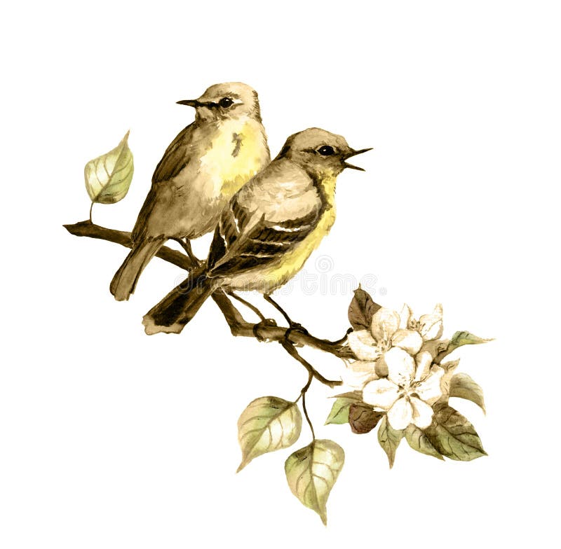 Zwei Liedvögel auf Frühling verzweigen sich in Retro- Farbe watercolor