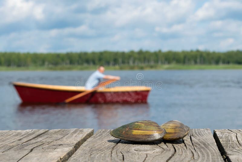 Zwei Muscheln liegen auf dem Pierabschluß oben, im Hintergrund, den ein Mann auf ein Boot schwimmt stockfotos Zwei Muscheln liegen auf dem Pierabschluß oben, im Hintergrund, den ein Mann auf ein Boot schwimmt stockfotos