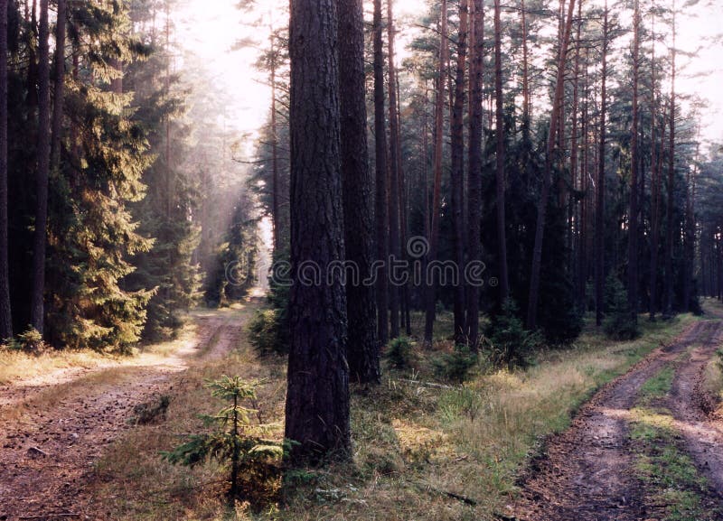 508 Integument Fotos - Kostenlose und Royalty-Free Stock-Fotos von