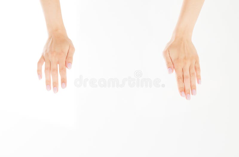 Zwei nahe Frauenhände lokalisiert auf weißem Hintergrund Weibliche unsichtbare Einzelteile der Armholding Kopieren Sie Platz stockfoto Zwei nahe Frauenhände lokalisiert auf weißem Hintergrund Weibliche unsichtbare Einzelteile der Armholding Kopieren Sie Platz stockfoto