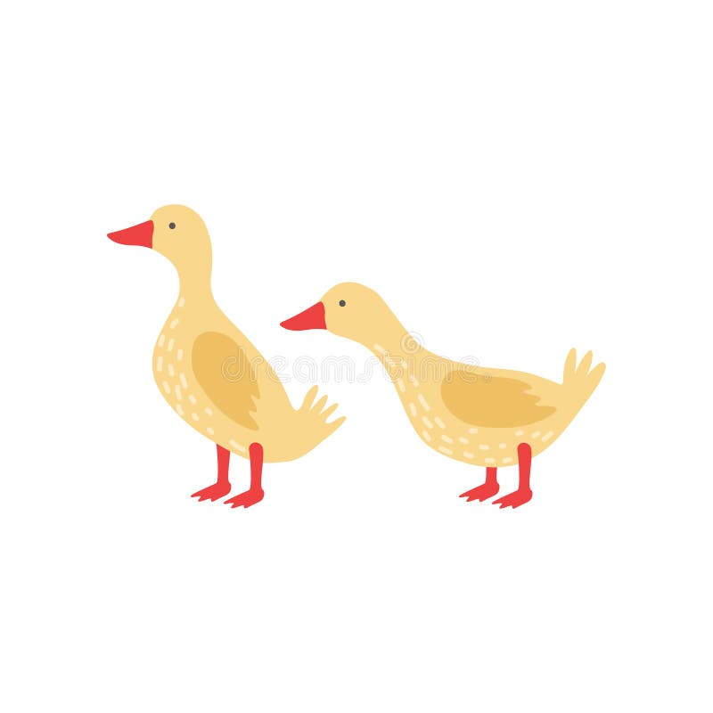 Gelbe Vogel Zeichentrickfilm Figur Stock Illustrationen Vektors Klipart 6 Stock Illustrations