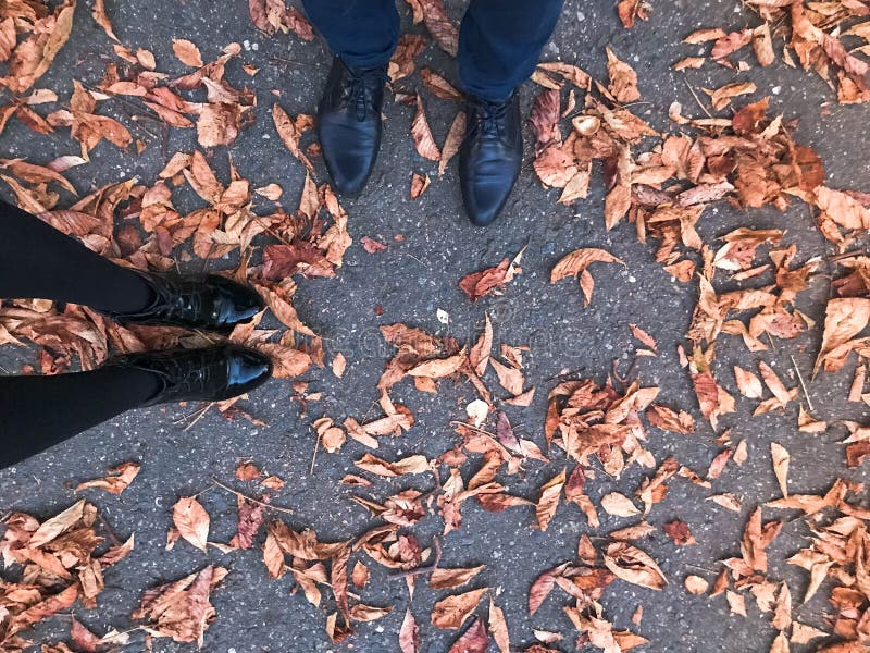 Zwei Paare Beine in den schönen schwarzen ledernen glatten glatten Schuhen auf Gelbem und Rot, braunfarbiger natürlicher Herbstla stockfoto Zwei Paare Beine in den schönen schwarzen ledernen glatten glatten Schuhen auf Gelbem und Rot, braunfarbiger natürlicher Herbstla stockfoto