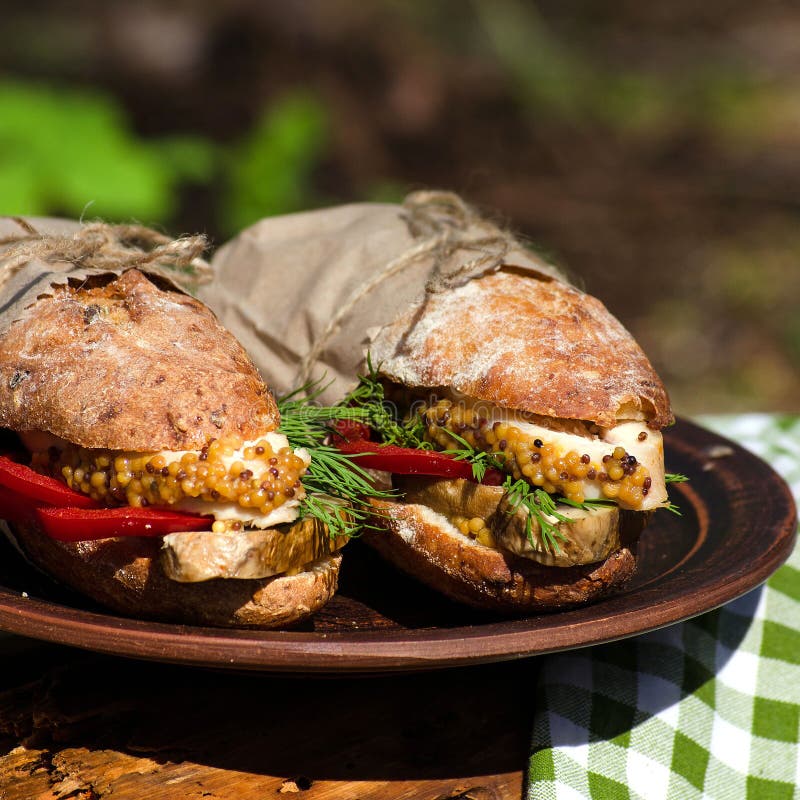 Zwei Sandwiche Mit Huhn an Einem Picknick Stockfoto - Bild von senf ...