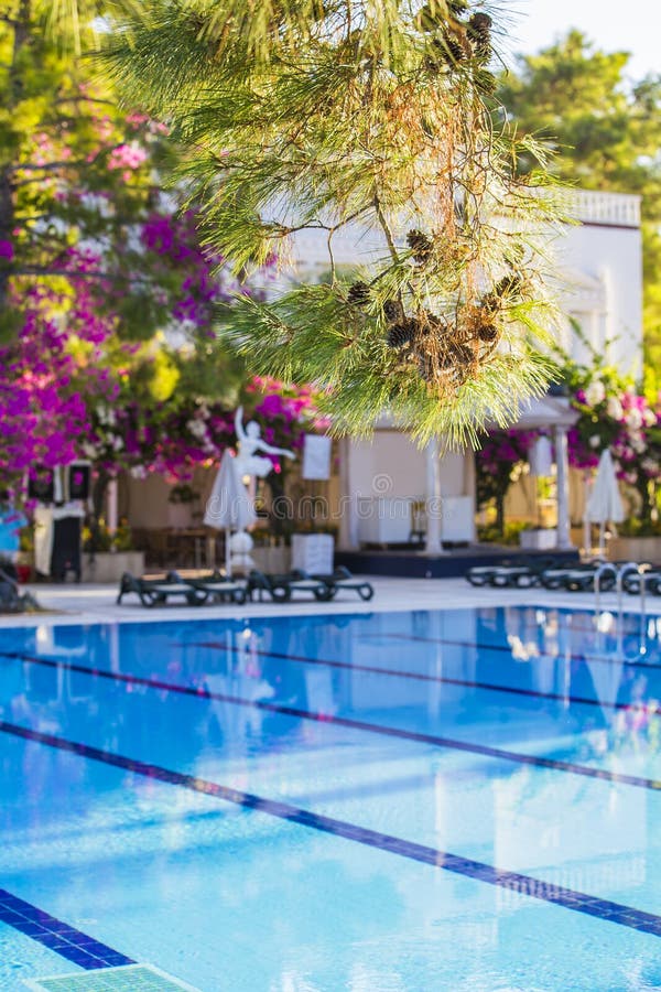 Zwembad bij hotel met bar Leeg hotel, palmen, paraplu's royalty-vrije stock afbeeldingen Zwembad bij hotel met bar Leeg hotel, palmen, paraplu's royalty-vrije stock afbeeldingen