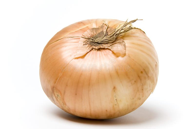 A raw onion shot against a white background. A raw onion shot against a white background