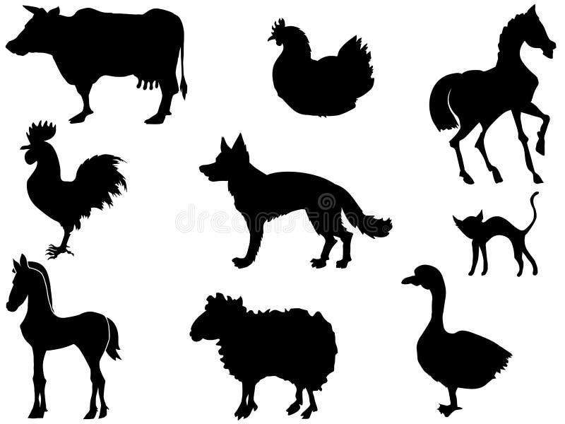 Zwierząt byka krowa domowa ilustracji