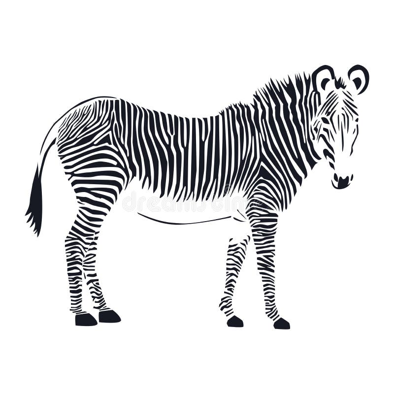 Zwierzęca zebra, odizolowywająca na białym tle ilustracja wektor