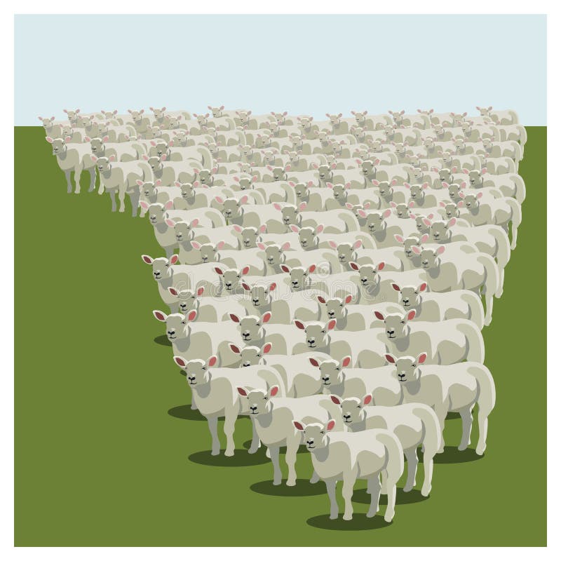 Animal sheep herd queuing, keeping together, vector. Animal sheep herd queuing, keeping together, vector