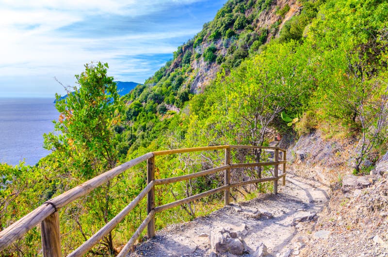Zwyczajny wycieczkuje kamienny ścieżka ślad z poręczem między Corniglia i Vernazza wioskami z zielonymi drzewami, niebieskiego ni fotografia royalty free Zwyczajny wycieczkuje kamienny ścieżka ślad z poręczem między Corniglia i Vernazza wioskami z zielonymi drzewami, niebieskiego ni fotografia royalty free