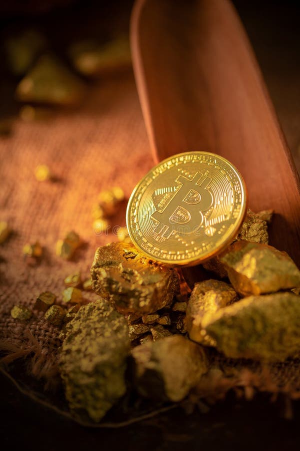 Złocisty bitcoin fizycznego Bitcoin-Cryptocurrency i Złocistej bryłki adra pojęcia prowadzenia domu posiadanie klucza złoty sięga zdjęcia royalty free