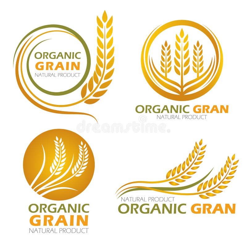 Złociści okręgu irlandczyka ryż organicznie zbożowi produkty i zdrowego karmowego sztandaru znaka wektoru ustalony projekt royalty ilustracja Złociści okręgu irlandczyka ryż organicznie zbożowi produkty i zdrowego karmowego sztandaru znaka wektoru ustalony projekt royalty ilustracja