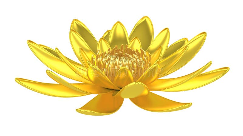 Złota lotosowego kwiatu wodna leluja