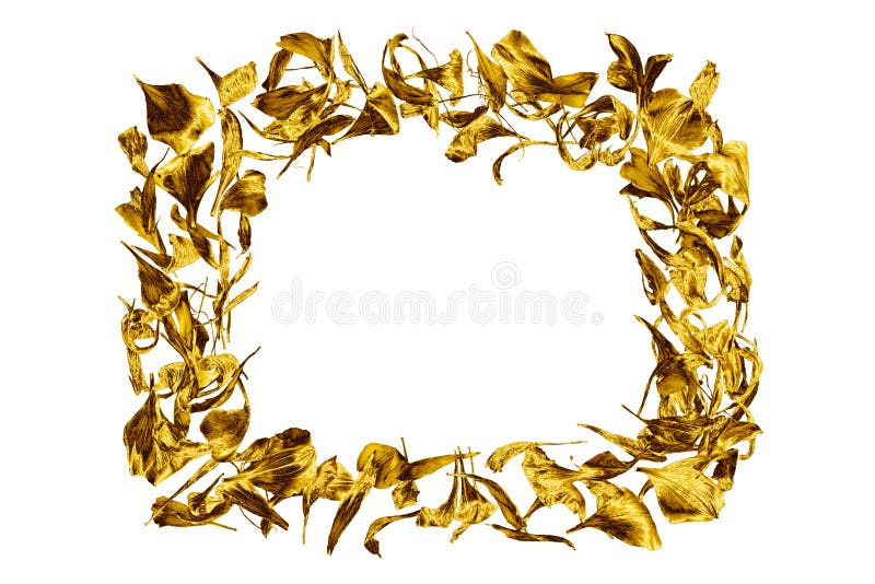 Golden picture frame made of flower petals on white background isolated close up, decorative floral gold color border, art ornamental foliage pattern, yellow metal shiny wreath decoration, copy space. Golden picture frame made of flower petals on white background isolated close up, decorative floral gold color border, art ornamental foliage pattern, yellow metal shiny wreath decoration, copy space