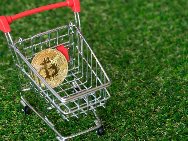 Złoty bitcoin Cryptocurrency w czerwonym wózek na zakupy na zielonej trawy tle Cyfrowego pieniądze cryptocurrency pojęcie zdjęcie stock Złoty bitcoin Cryptocurrency w czerwonym wózek na zakupy na zielonej trawy tle Cyfrowego pieniądze cryptocurrency pojęcie zdjęcie stock