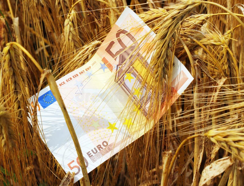 złoty pieniądze zdjęcia stock złoty pieniądze zdjęcia stock