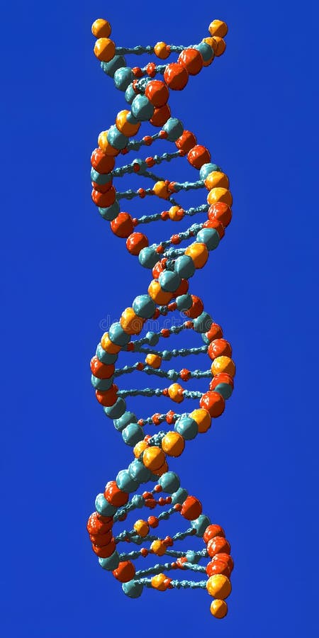 3. ª representación de la estructura de doble hélice del adn stock de ilustración