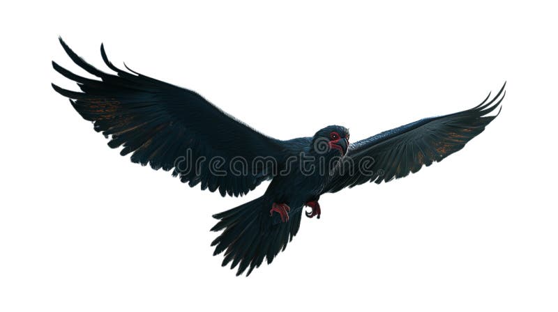 3. ª representación de un cuervo negro aislado sobre fondo transparente. ilustración del vector