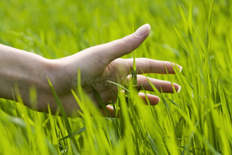 « nature de sensation » « nature de sensation »